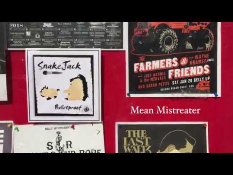 Snakejack - Mean Mistreater