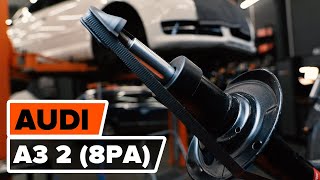 How to change a front shock strut on AUDI A3 2 (8PA)  [TUTORIAL AUTODOC]