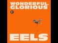Eels - Bombs away