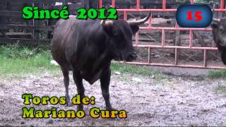 preview picture of video 'Día 15 de Septiembre de 2012 para Sincé y sus fiestas de toros'