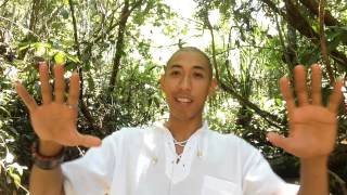 What is Ayahuasca? How Can It Help You? [Great Explanation]
