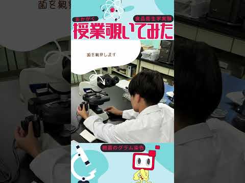 【おかがく】授業覗いてみた！【食品衛生学実験】 #Shorts