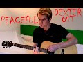 Peaceful Dexter Soundtrack Live Acoustic Guitar Cover