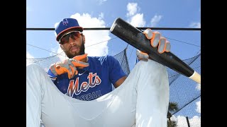 Amed Rosario 2019 Highlight Reel
