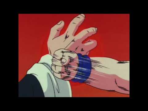 Goku VS Roshi (EMIYA)