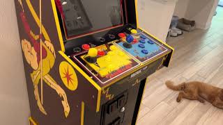Arcade1up Joust Cabinet First Impressions