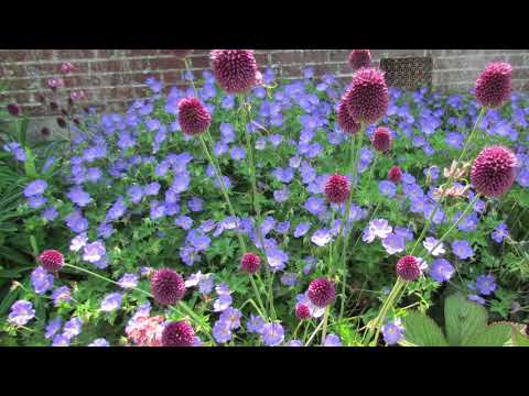 Top tips for designing a new border