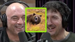 Glenn Villeneuve on How to Tan a Grizzly Hide
