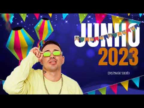 JAPÃOZIN -JUNHO ARRAIÁ PRA PAREDÃO (VOL 2)