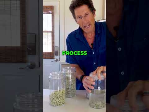 Pisum Sativum Sprout Extract Powder