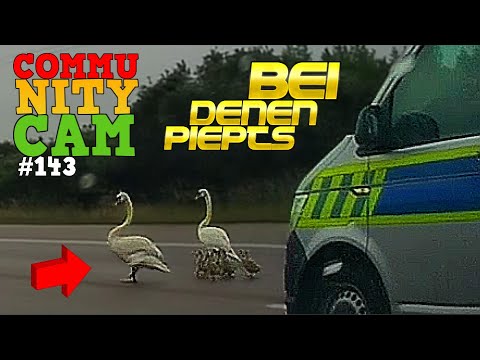 POLIZEI im Einsatz: VÖGEL auf der Autobahn | Community Cam Folge 143