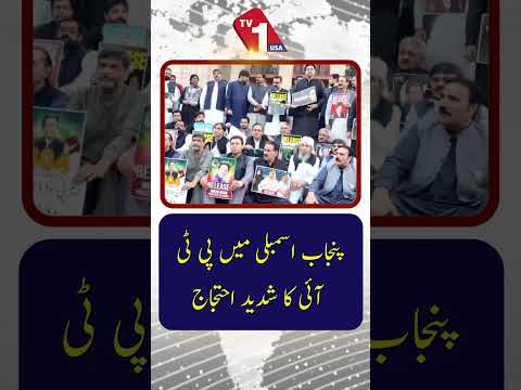 پی ٹی آئی کا پنجاب اسمبلی میں بھرپور احتجاج
