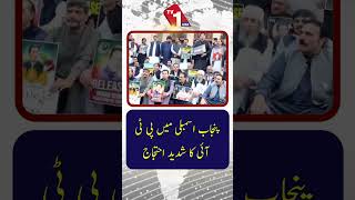پی ٹی آئی کا پنجاب اسمبلی میں بھرپور احتجاج
