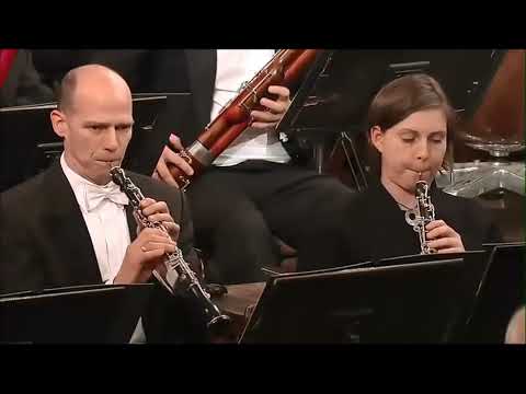 Beethoven Sinfonía Nº 1  Wiener Philharmoniker, Christian Thielemann