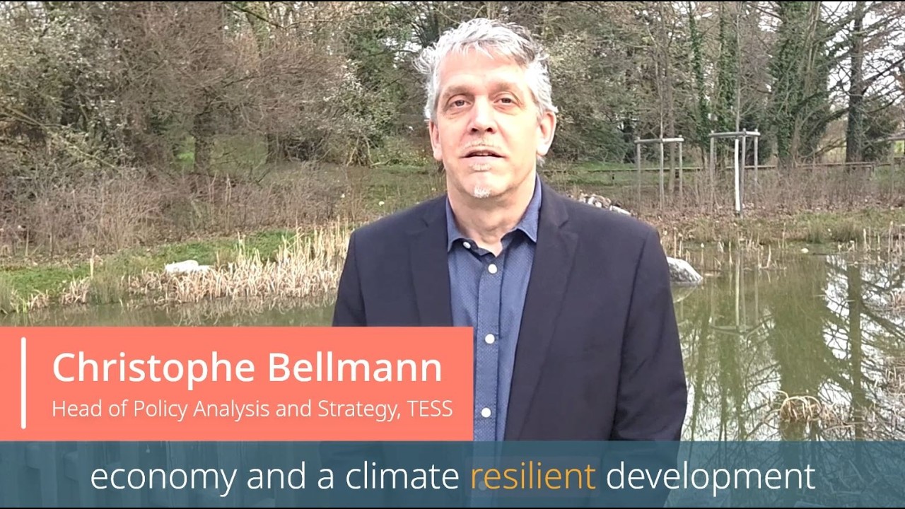 Trade & Sustainability Priorities: Christophe Bellmann (TESS)