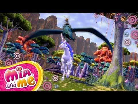 🌸🥰 Einhörner gegen Drachen - Mia and me - Staffel 1🦄🌸