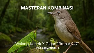 Download lagu Masteran Kombinasi Walang Kecek Sambung Cigun 'Bren AK47' Jeda Air Mengalir mp3 Download lagu Masteran Kombinasi Walang Kecek Sambung Cigun 'Bren AK47' Jeda Air Mengalir mp3