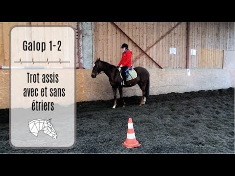 Galop 1 et 2   .  Trot assis avec et sans étriers