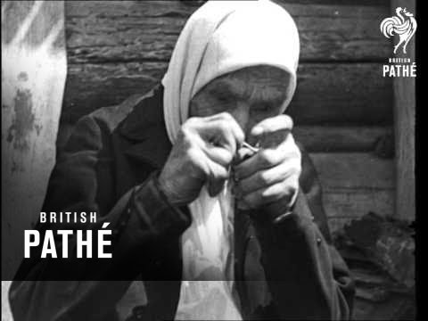 Cinetopicalità in breve n. 22 (1938)