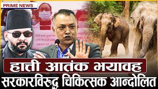 विभाजनको तयारीमा कांग्रेस, देउवा गुटले नयाँ दल खोल्ने, बालेन सरकारविरुद्ध बोले गगन, किन गरे प्रशंसा?