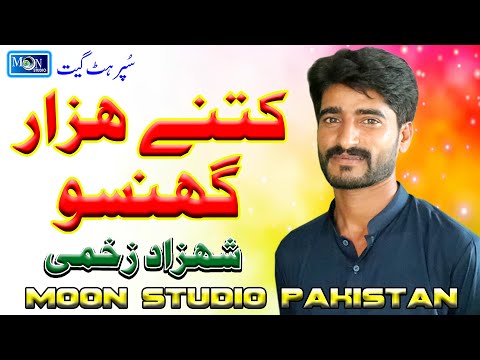 Ketne Hazr Ghnso - Shahzad Zakhmi - Latest Saraiki Song - Moon Studio Pakistan