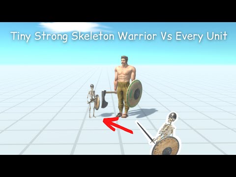 Tiny Strong Skeleton Warrior Vs Every Unit ARBS |Animal Revolt Battle Simulator
