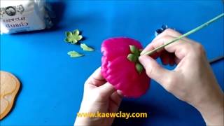 Examples DVD making PEONY
