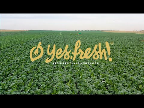Yes Fresh! - Vídeo corporativo