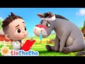My Donkey Has A Boo Boo EP221 Fun Farm Animal Songs Nursery Rhymes Kids Songs LiaChaCha