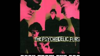 The Psychedelic Furs - &quot;We Love You&quot; (1980)