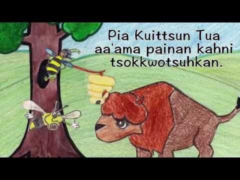 Pia Kuittsun Tua (Baby Buffalo)