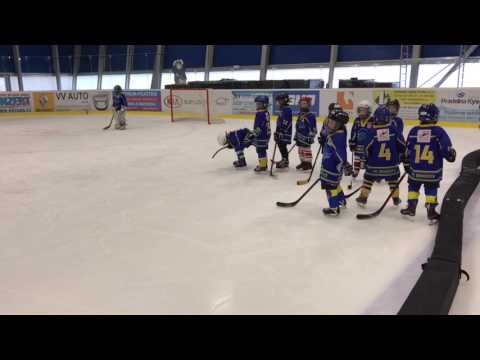 HC Lev Benešov vs. HC Tábor pSN 26.2.2017