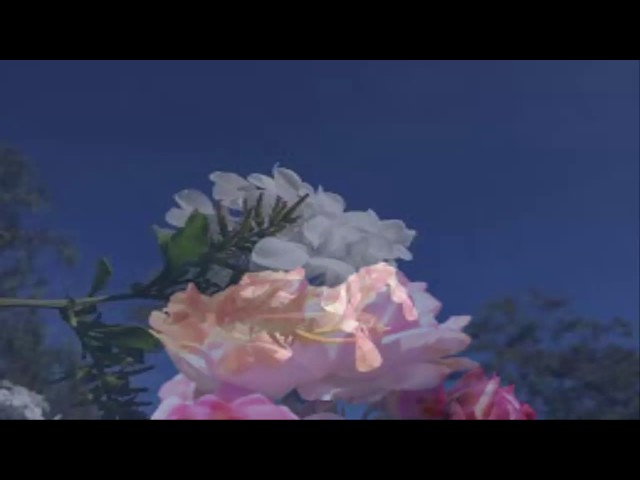 University of West Los Angeles video #1