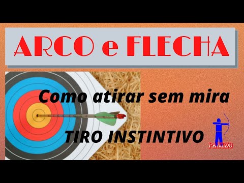 ARCO e FLECHA. Mirar no Tiro Instintivo.