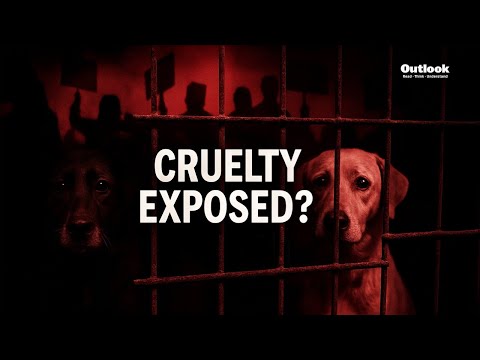 Estallan protestas en el refugio de perros Rohini de Delhi por presuntas acusaciones de crueldad.