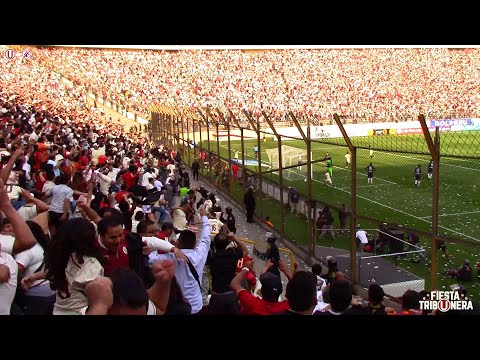 "Gol de Chiquitin Quintero desde la popular." Barra: Trinchera Norte • Club: Universitario de Deportes