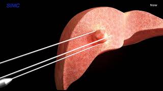 2024 SPECTRUM Oration Talk Final (Live)