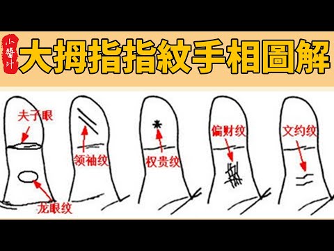 手相大拇指