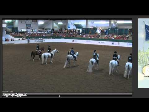 Arabian sport horse nationals SHN Ring 1 9/19 (no audio)