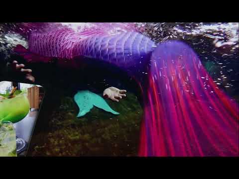 Meerminnenduikje Todi, 29 augustus 2021