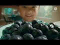 Blue S Clues Funding Credits