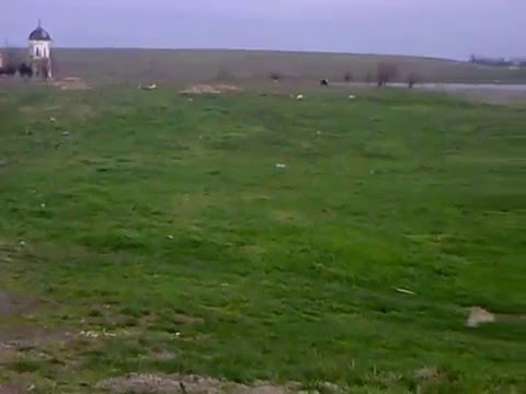 Magureni Jud. Calarasi 29-03-2016