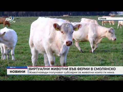 Виртуални животни във ферми в Смолянско: Животновъди получават субсидии за животни които ги няма