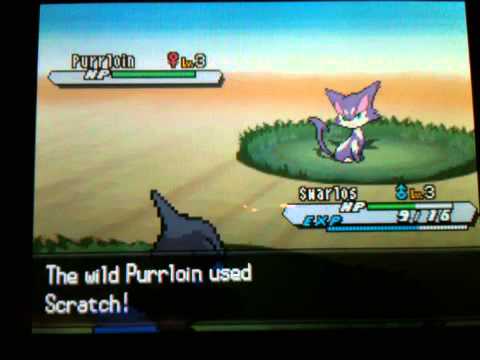 Pokemon White 2 LP With Mangobeany- Episode 1