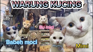 Download lagu #33 CAT SHOP 2023‼️ EPISODE 33 #viral #trending mp3