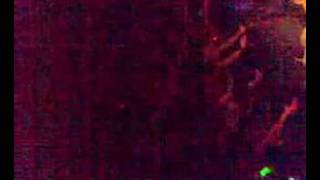 [Spunge] Kickin' Pigeons