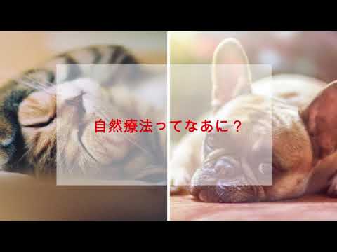 自然療法について詳しく解説