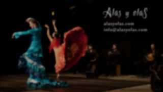 Alas y Olas - Flamencokonzert