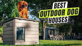 3 BEST Outdoor Dog House
