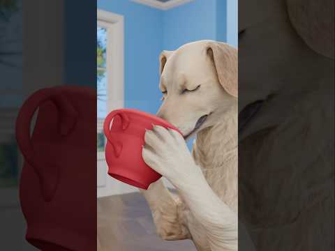 How Dogs Drink Water 🤔 #shortvideo
